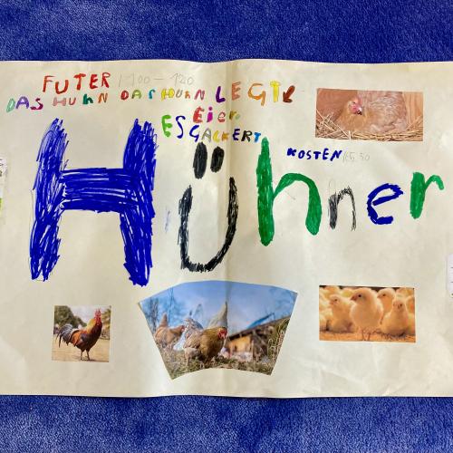 Plakat der Hühner