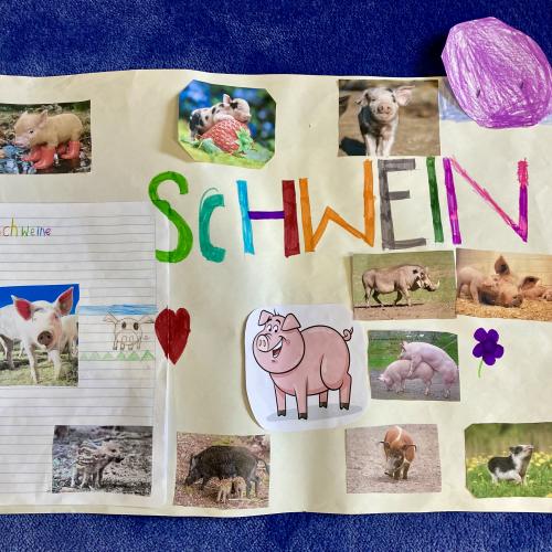 Plakat der Schweine