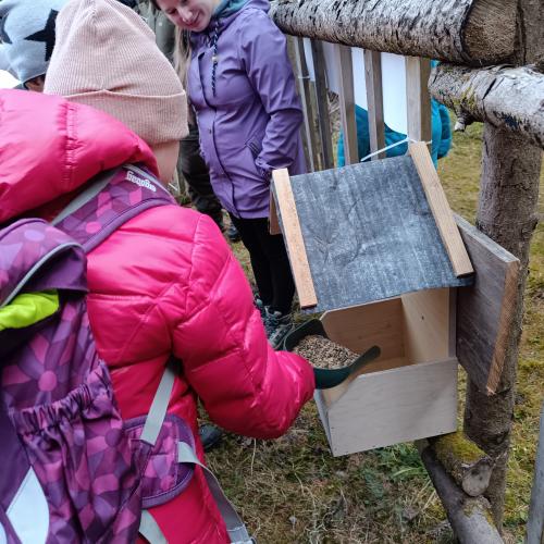 Kinder befüllen das Futterhäuschen 
