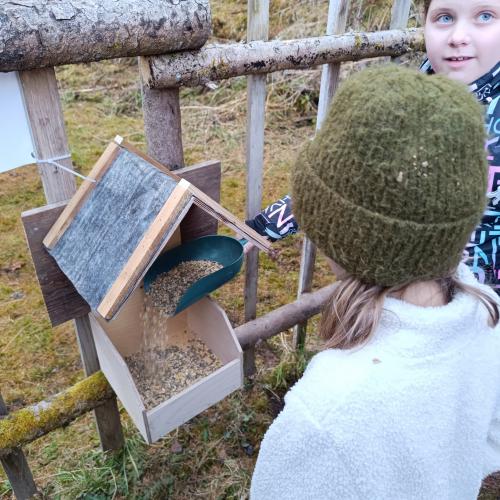 Kinder befüllen das Futterhäuschen 