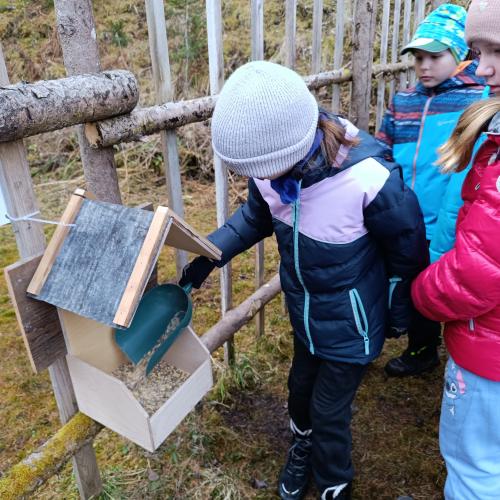Kinder befüllen das Futterhäuschen 