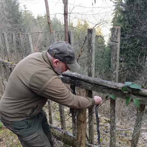 Die Wildtierkamera wird angebracht 