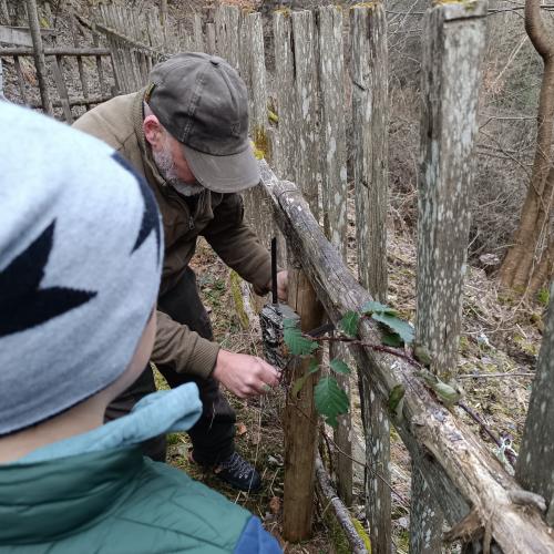 Die Wildtierkamera wird angebracht 