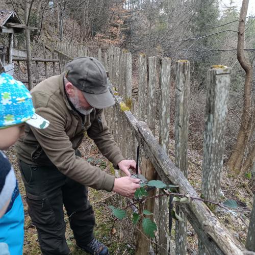 Die Wildtierkamera wird angebracht 