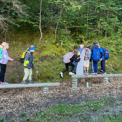 Kinder beim Balancieren über gefederte Stämme