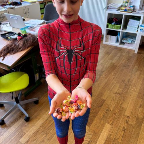 Faschingsdienstag 2026