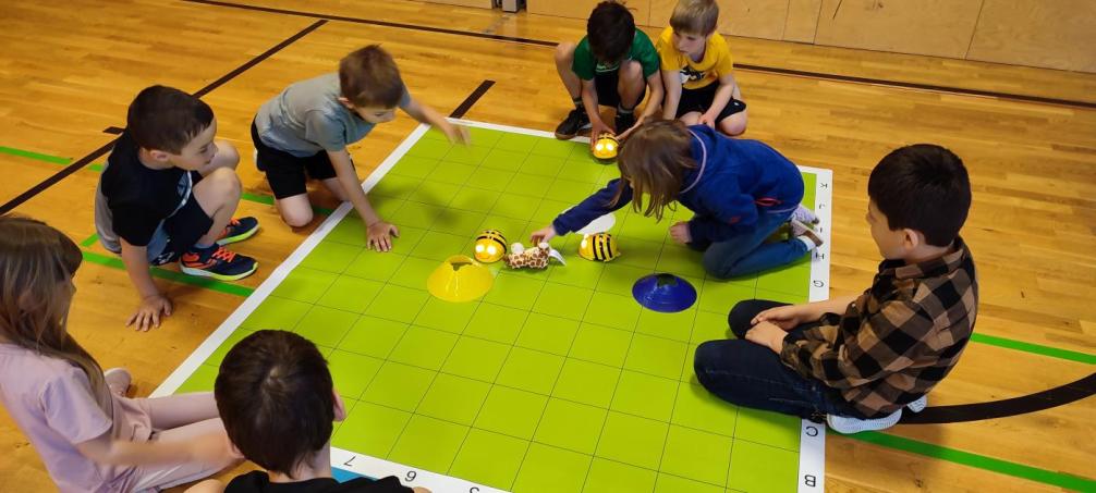 Beebots